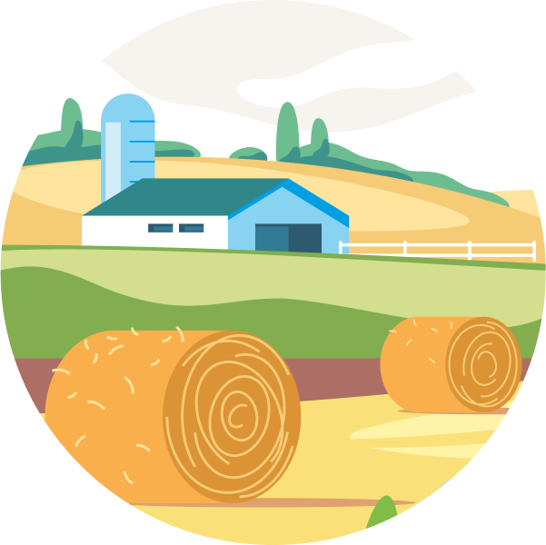 fromagerie-perron-agriculture-durable-nos-terres