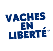 logo-vl